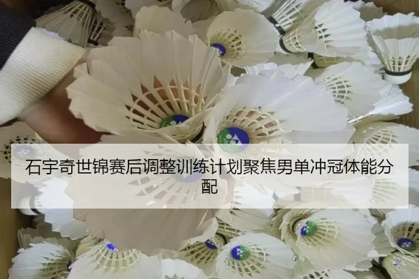 石宇奇世锦赛后调整训练计划聚焦男单冲冠体能分配